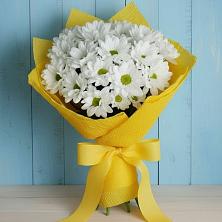 Букет цветов из:  Хризантемы в Шахтах