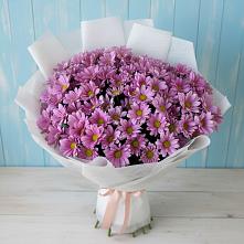 Букет цветов из:  Хризантемы в Шахтах