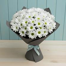 Букет цветов из:  Хризантемы #REPLACE_PRED# Шахтах