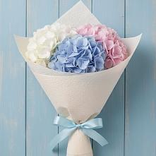 Букет цветов из:  Гортензия в Шахтах
