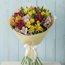Букет цветов из:  Альстромерии в Шахтах