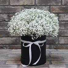Цветочная композиция из Гипсофила в шляпной коробке #REPLACE_PRED# Шахтах