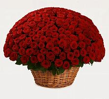 Премиум букет из: Розы в Шахтах