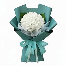 Букет цветов из:  Гортензия в Шахтах